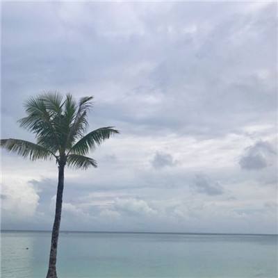 澳门威斯尼斯WNS888入口手机app下载截图